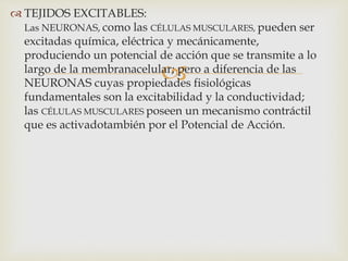 
 TEJIDOS EXCITABLES:
Las NEURONAS, como las CÉLULAS MUSCULARES, pueden ser
excitadas química, eléctrica y mecánicamente,
produciendo un potencial de acción que se transmite a lo
largo de la membranacelular; pero a diferencia de las
NEURONAS cuyas propiedades fisiológicas
fundamentales son la excitabilidad y la conductividad;
las CÉLULAS MUSCULARES poseen un mecanismo contráctil
que es activadotambién por el Potencial de Acción.
 