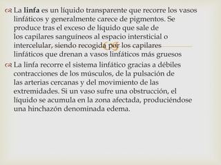 
 La linfa es un líquido transparente que recorre los vasos
linfáticos y generalmente carece de pigmentos. Se
produce tras el exceso de líquido que sale de
los capilares sanguíneos al espacio intersticial o
intercelular, siendo recogida por los capilares
linfáticos que drenan a vasos linfáticos más gruesos
 La linfa recorre el sistema linfático gracias a débiles
contracciones de los músculos, de la pulsación de
las arterias cercanas y del movimiento de las
extremidades. Si un vaso sufre una obstrucción, el
líquido se acumula en la zona afectada, produciéndose
una hinchazón denominada edema.
 