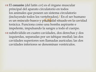 
 El corazón (del latín cor) es el órgano muscular
principal del aparato circulatorio en todos
los animales que poseen un sistema circulatorio
(incluyendo todos los vertebrados).1 En el ser humano
es un músculo hueco y piramidal situado en la cavidad
torácica. Funciona como una bomba aspirante e
impelente, impulsando la sangre a todo el cuerpo.
 subdividido en cuatro cavidades, dos derechas y dos
izquierdas, separadas por un tabique medial; las dos
cavidades superiores son llamadas aurículas; las dos
cavidades inferiores se denominan ventrículos.
 