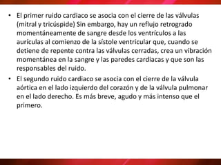 • El primer ruido cardiaco se asocia con el cierre de las válvulas
(mitral y tricúspide) Sin embargo, hay un reflujo retrogrado
momentáneamente de sangre desde los ventrículos a las
aurículas al comienzo de la sístole ventricular que, cuando se
detiene de repente contra las válvulas cerradas, crea un vibración
momentánea en la sangre y las paredes cardiacas y que son las
responsables del ruido.
• El segundo ruido cardiaco se asocia con el cierre de la válvula
aórtica en el lado izquierdo del corazón y de la válvula pulmonar
en el lado derecho. Es más breve, agudo y más intenso que el
primero.
 