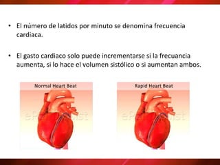 • El número de latidos por minuto se denomina frecuencia
cardiaca.
• El gasto cardiaco solo puede incrementarse si la frecuancia
aumenta, si lo hace el volumen sistólico o si aumentan ambos.
 