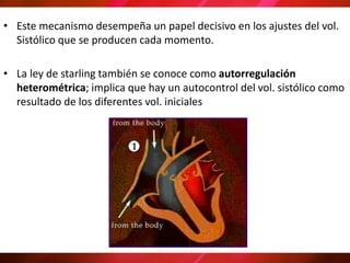 • Este mecanismo desempeña un papel decisivo en los ajustes del vol.
Sistólico que se producen cada momento.
• La ley de starling también se conoce como autorregulación
heterométrica; implica que hay un autocontrol del vol. sistólico como
resultado de los diferentes vol. iniciales
 