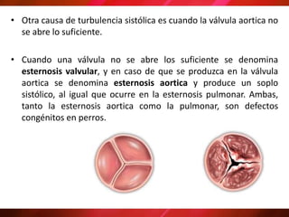 • Otra causa de turbulencia sistólica es cuando la válvula aortica no
se abre lo suficiente.
• Cuando una válvula no se abre los suficiente se denomina
esternosis valvular, y en caso de que se produzca en la válvula
aortica se denomina esternosis aortica y produce un soplo
sistólico, al igual que ocurre en la esternosis pulmonar. Ambas,
tanto la esternosis aortica como la pulmonar, son defectos
congénitos en perros.
 