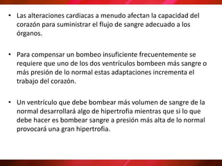 • Las alteraciones cardiacas a menudo afectan la capacidad del
corazón para suministrar el flujo de sangre adecuado a los
órganos.
• Para compensar un bombeo insuficiente frecuentemente se
requiere que uno de los dos ventrículos bombeen más sangre o
más presión de lo normal estas adaptaciones incrementa el
trabajo del corazón.
• Un ventrículo que debe bombear más volumen de sangre de la
normal desarrollará algo de hipertrofia mientras que si lo que
debe hacer es bombear sangre a presión más alta de lo normal
provocará una gran hipertrofia.
 