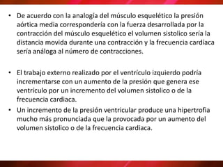 • De acuerdo con la analogía del músculo esquelético la presión
aórtica media correspondería con la fuerza desarrollada por la
contracción del músculo esquelético el volumen sistolico sería la
distancia movida durante una contracción y la frecuencia cardíaca
sería análoga al número de contracciones.
• El trabajo externo realizado por el ventrículo izquierdo podría
incrementarse con un aumento de la presión que genera ese
ventrículo por un incremento del volumen sistolico o de la
frecuencia cardiaca.
• Un incremento de la presión ventricular produce una hipertrofia
mucho más pronunciada que la provocada por un aumento del
volumen sistolico o de la frecuencia cardiaca.
 