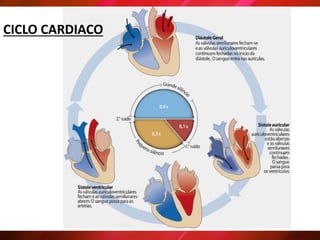 CICLO CARDIACO
 