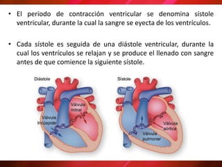 • El periodo de contracción ventricular se denomina sístole
ventricular, durante la cual la sangre se eyecta de los ventrículos.
• Cada sístole es seguida de una diástole ventricular, durante la
cual los ventrículos se relajan y se produce el llenado con sangre
antes de que comience la siguiente sístole.
 