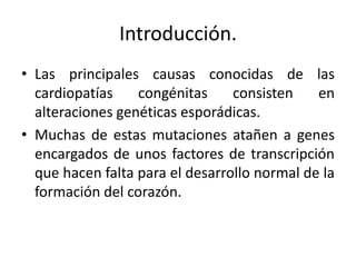 Introducción.
• Las principales causas conocidas de las
  cardiopatías    congénitas     consisten    en
  alteraciones genéticas esporádicas.
• Muchas de estas mutaciones atañen a genes
  encargados de unos factores de transcripción
  que hacen falta para el desarrollo normal de la
  formación del corazón.
 