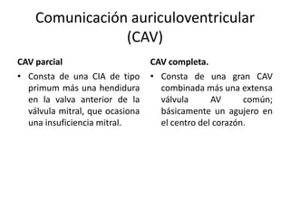 Comunicación auriculoventricular
                (CAV)
CAV parcial                      CAV completa.
• Consta de una CIA de tipo      • Consta de una gran CAV
  primum más una hendidura         combinada más una extensa
  en la valva anterior de la       válvula      AV      común;
  válvula mitral, que ocasiona     básicamente un agujero en
  una insuficiencia mitral.        el centro del corazón.
 