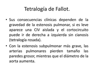 Tetralogía de Fallot.
• Sus consecuencias clínicas dependen de la
  gravedad de la estenosis pulmonar, si es leve
  aparece una CIV aislada y el cortocircuito
  puede ir de derecha a izquierda sin cianosis
  (tetralogía rosada).
• Con la estenosis subpulmonar más grave, las
  arterias pulmonares pierden tamaño las
  paredes grosor, mientras que el diámetro de la
  aorta aumenta.
 