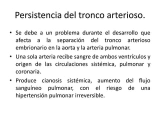 Persistencia del tronco arterioso.
• Se debe a un problema durante el desarrollo que
  afecta a la separación del tronco arterioso
  embrionario en la aorta y la arteria pulmonar.
• Una sola arteria recibe sangre de ambos ventrículos y
  origen de las circulaciones sistémica, pulmonar y
  coronaria.
• Produce cianosis sistémica, aumento del flujo
  sanguíneo pulmonar, con el riesgo de una
  hipertensión pulmonar irreversible.
 