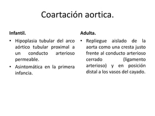 Coartación aortica.
Infantil.                        Adulta.
• Hipoplasia tubular del arco    • Repliegue aislado de la
   aórtico tubular proximal a      aorta como una cresta justo
   un     conducto   arterioso     frente al conducto arterioso
   permeable.                      cerrado             (ligamento
• Asintomática en la primera       arterioso) y en posición
   infancia.                       distal a los vasos del cayado.
 