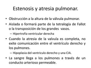 Estenosis y atresia pulmonar.
• Obstrucción a la altura de la válvula pulmonar.
• Aislada o formará parte de la tetralogía de Fallot
  o la transposición de los grandes vasos.
  – Hipertrofia ventricular derecha
• Cuando la atresia de la valvula es completa, no
  exite comunicación entre el ventrículo derecho y
  los pulmones.
  – Hipoplasia del ventriculo derecho y una CIA.
• La sangre llega a los pulmones a través de un
  conducto arterioso permeable.
 
