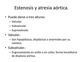 Estenosis y atresia aórtica.
• Puede darse a tres alturas:
   – Valvular.
   – Subvalvular.
   – Supravalvular.
• Valvular.-
   – Son hipoplásicas, displásicas o anormales por su
     número.
• Subvalvular.-
   – Engrosamiento en anillo o en collar, forma hereditaria
     de displasia aórtica.
 