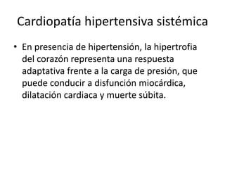 Cardiopatía hipertensiva sistémica
• En presencia de hipertensión, la hipertrofia
  del corazón representa una respuesta
  adaptativa frente a la carga de presión, que
  puede conducir a disfunción miocárdica,
  dilatación cardiaca y muerte súbita.
 