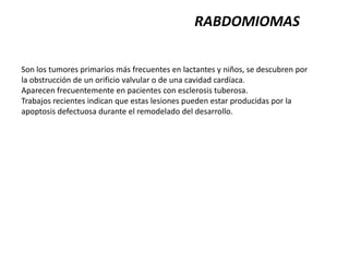 RABDOMIOMAS

Son los tumores primarios más frecuentes en lactantes y niños, se descubren por
la obstrucción de un orificio valvular o de una cavidad cardíaca.
Aparecen frecuentemente en pacientes con esclerosis tuberosa.
Trabajos recientes indican que estas lesiones pueden estar producidas por la
apoptosis defectuosa durante el remodelado del desarrollo.
 