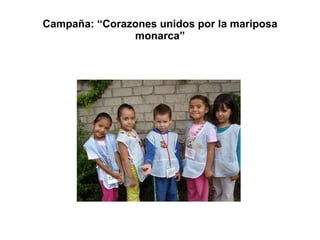 Campaña: “Corazones unidos por la mariposa monarca” 