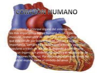 El corazón es el principal órgano del sistema cardiaco y uno de
los más importantes del ser humano. Es un órgano
muscular, responsable de recibir y bombear la sangre para
que ésta circule por todo el cuerpo. Debido a su gran
importancia, siempre ha estado sujeto a mitos y creencias
populares a través de la historia, llegando a considerarse
como un órgano con poderes especiales y el responsable de
las emociones humanas. Por ello, es popularmente conocido
en todo el mundo, como el símbolo del amor.
 