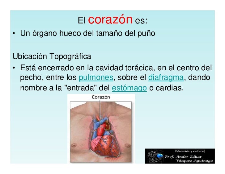 Resultado de imagen de corazon.ppt