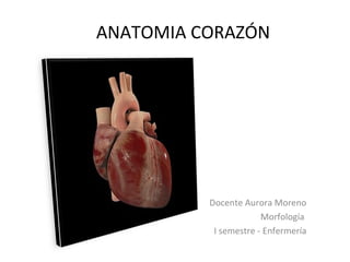 ANATOMIA CORAZÓN




          Docente Aurora Moreno
                       Morfología
           I semestre - Enfermería
 