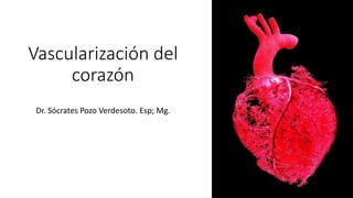 Vascularización del
corazón
Dr. Sócrates Pozo Verdesoto. Esp; Mg.
 