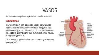 VASOS
Los vasos sanguíneos pueden clasificarse en.
ARTERIAS:
Por definición son aquellos vasos sanguíneos
que salen del corazón y llevan la sangre a los
distintos órganos del cuerpo. Todas las arterias
excepto la pulmonar y sus ramificaciones llevan
sangre oxigenada.
“Las arterias principales son la aorta y el tronco
pulmonar”.
 