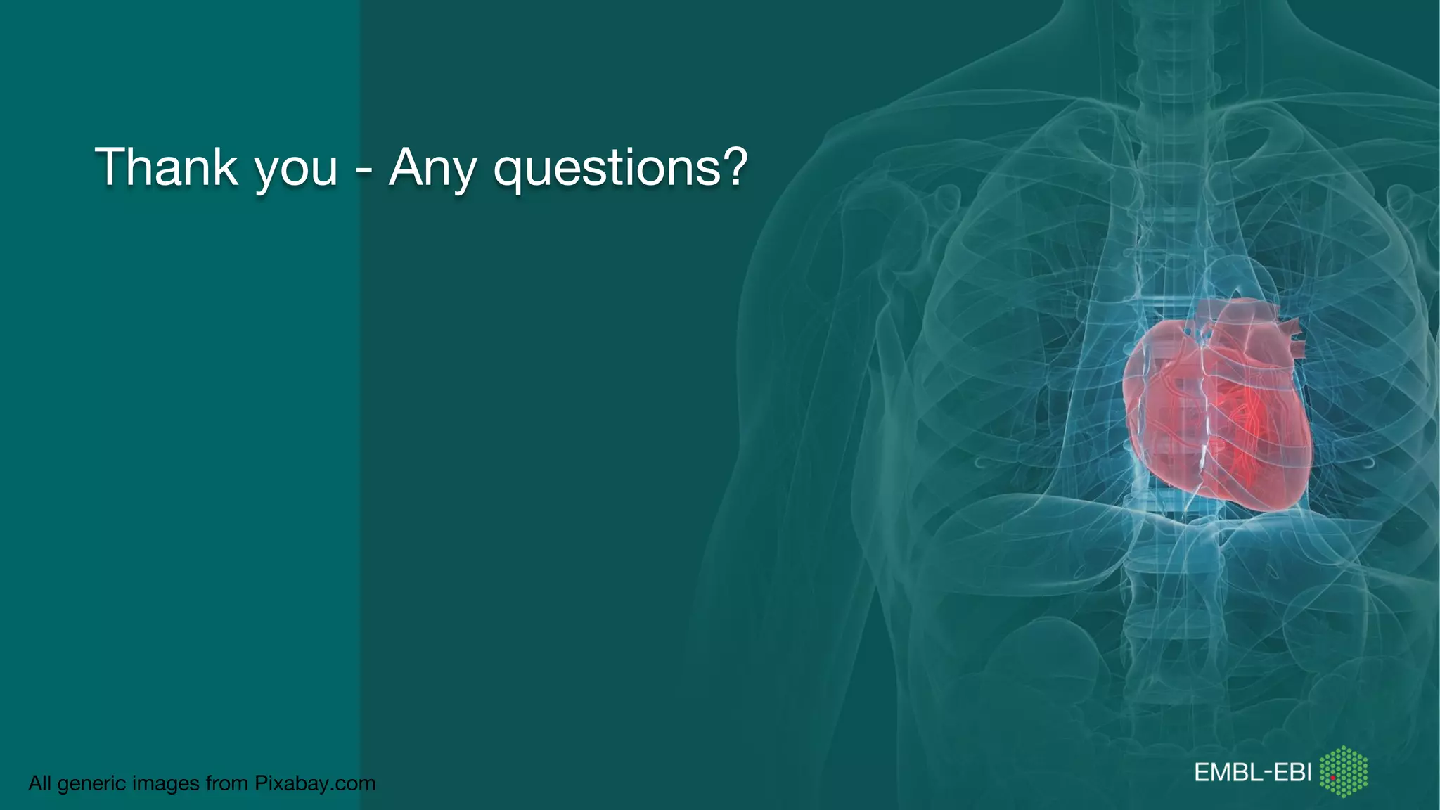 Thank you - Any questions?
All generic images from Pixabay.com
 