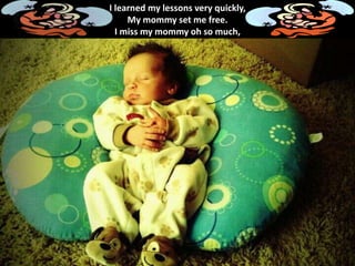 I learned my lessons very quickly,
My mommy set me free.
I miss my mommy oh so much,
 