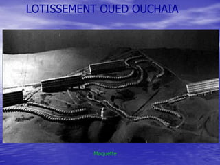 LOTISSEMENT OUED OUCHAIA

Maquette

 