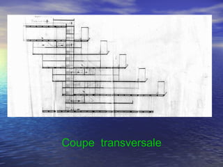 Coupe transversale
 