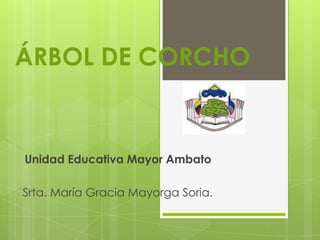 ÁRBOL DE CORCHO
Unidad Educativa Mayor Ambato
Srta. María Gracia Mayorga Soria.
 
