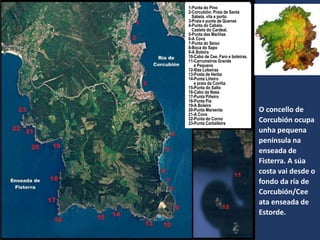 O concello de
Corcubión ocupa
unha pequena
península na
enseada de
Fisterra. A súa
costa vai desde o
fondo da ría de
Corcubión/Cee
ata enseada de
Estorde.
1-Punta do Pino
2-Corcubión. Praia de Santa
Sabela, vila e porto.
3-Praia e punta de Quenxe
4-Punta do Cabalo.
Castelo do Cardeal.
5-Punta das Mariñas
6-A Cova
7-Punta do Seixo
8-Boca do Sapo
9-A Boleira
10-Cabo de Cee. Faro e boleiras.
11-Carrumeiros Grande
e Pequeno
12-Illas Lobeiras
13-Posta de Herba
14-Punta Liñeiro
e praia da Coviña
15-Punta do Salto
16-Cabo da Nasa
17-Punta Piñeiro
18-Punta Pía
19-A Boleira
20-Punta Marxenta
21-A Cova
22-Punta do Corno
23-Punta Carballeira
 