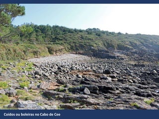 Coídos ou boleiras no Cabo de Cee
 