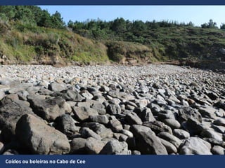 Coídos ou boleiras no Cabo de Cee
 
