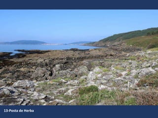 13-Posta de Herba
 