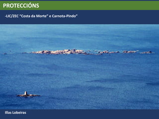 PROTECCIÓNS
-LIC/ZEC “Costa da Morte” e Carnota-Pindo”
Illas Lobeiras
 