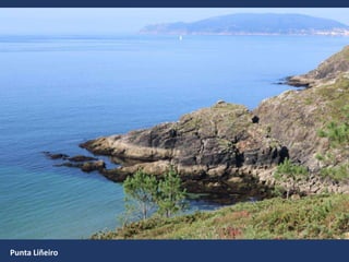 Punta Liñeiro
 