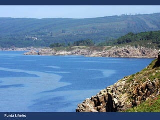 Punta Liñeiro
 