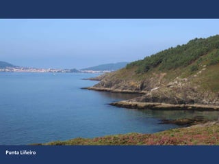 Punta Liñeiro
 