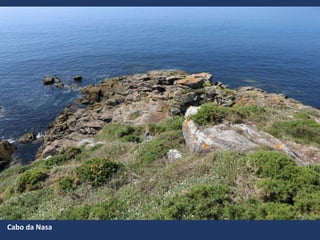 Cabo da Nasa
 