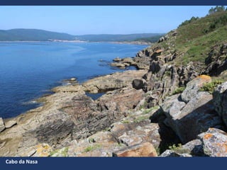 Cabo da Nasa
 