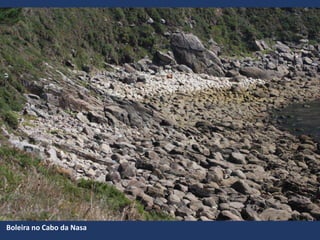 Boleira no Cabo da Nasa
 