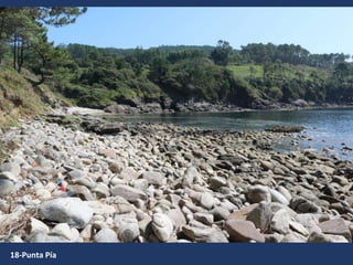 18-Punta Pía
 