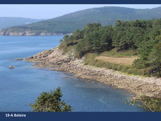 19-A Boleira
 
