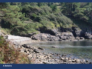 A Boleira
 