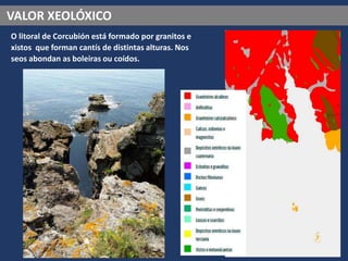 VALOR XEOLÓXICO
O litoral de Corcubión está formado por granitos e
xistos que forman cantís de distintas alturas. Nos
seos abondan as boleiras ou coídos.
 