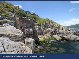 Cantís graníticos na contorna do Castelo do Cardeal
 