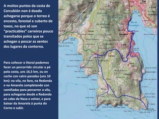 Para coñecer o litoral podemos
facer un percorrido circular a pé
pola costa, uns 16,5 km, ou en
coche con catro paradas (uns 10
km): na vila, no faro, na Redonda
e na Amarela completando con
camiñadas para percorrer a vila,
para achegarse desde a Redonda
ao cabo da Nasa e volver, e para
baixar da Amarela á punta do
Corno e subir.
A moitos puntos da costa de
Corcubión non é doado
achegarse porque o terreo é
encosto, forestal e cuberto de
toxos, no que só son
“practicables” carreiros pouco
transitados polos que se
achegan a pescar as xentes
dos lugares da contorna.
 