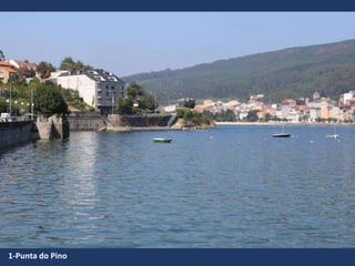 1-Punta do Pino
 