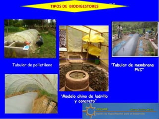 TIPOS DE BIODIGESTORES
 